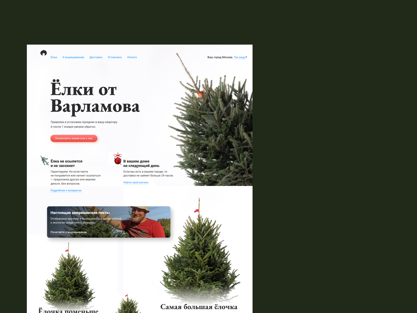 Landing page for the Christmass tree store